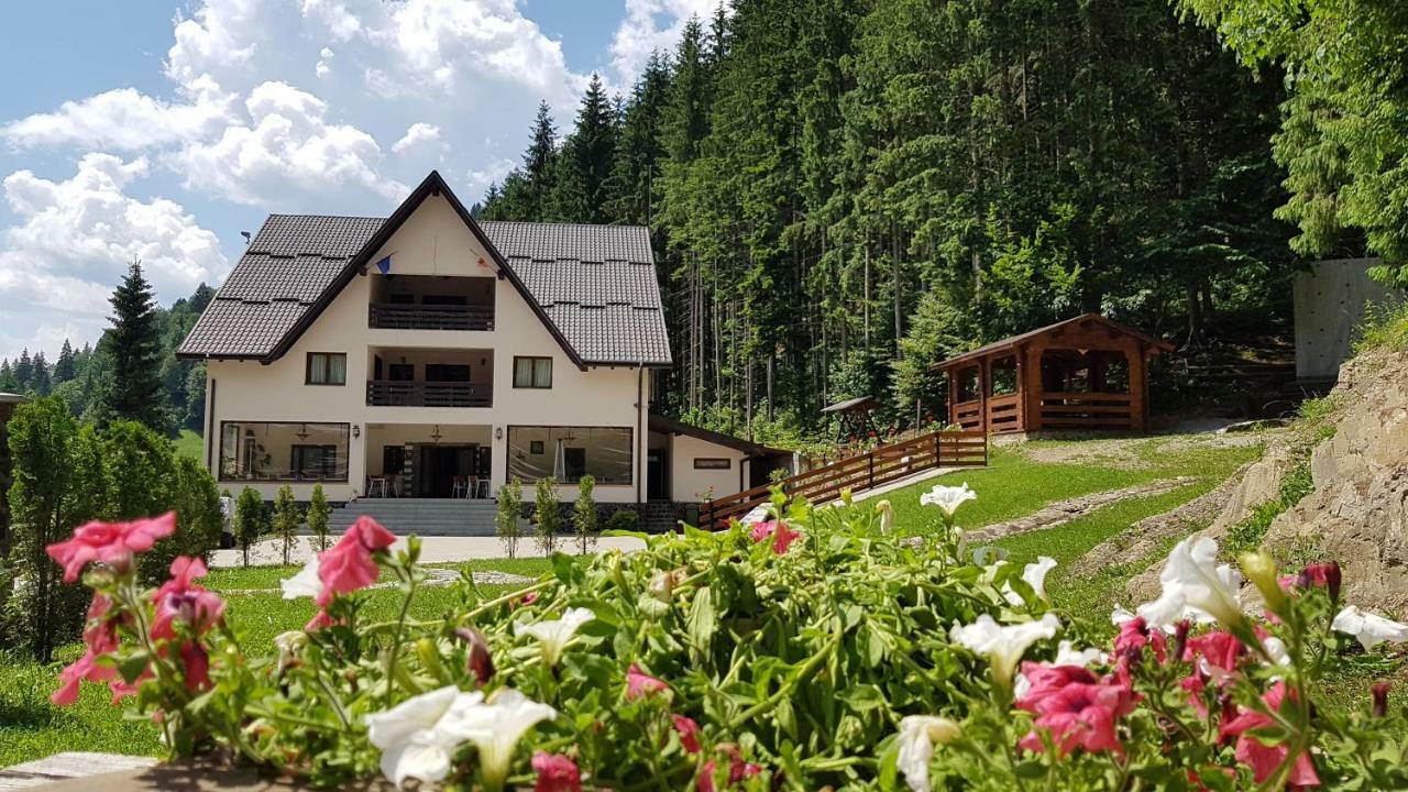 Perla Padurii Hotell Valea Mare  Eksteriør bilde